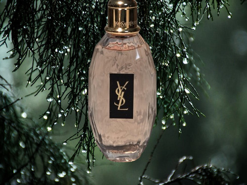 Yves saint laurent parisienne - yves,
