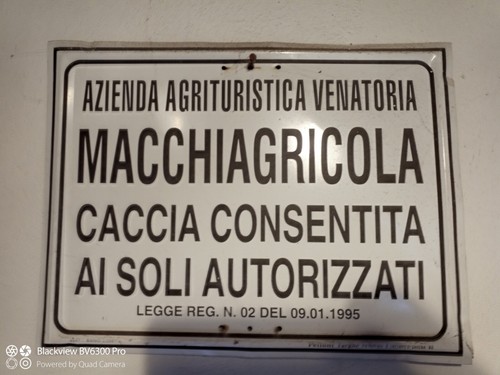 Targa tabella insegna - tabella, latta
