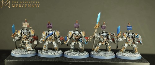 Warhammer 40k pro painted grey - painted,