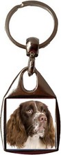 Springer spaniel luxury square - springer,