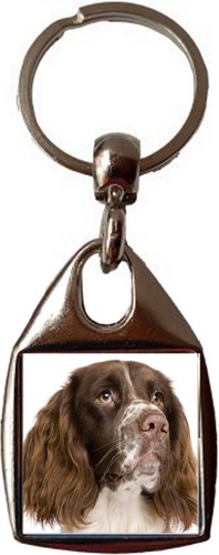 Springer spaniel luxury square - luxury,