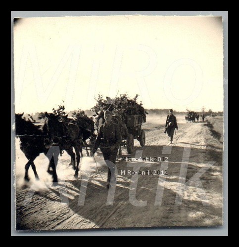 Foto ww2 campagna di russia - di,