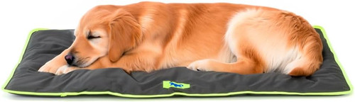 Cuccia cane gatto - cane, e