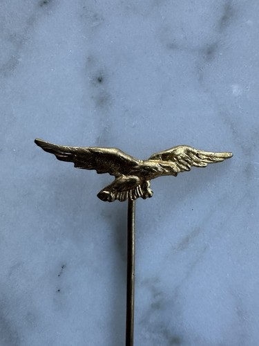 Distintivo aquila brevetto - distintivo,