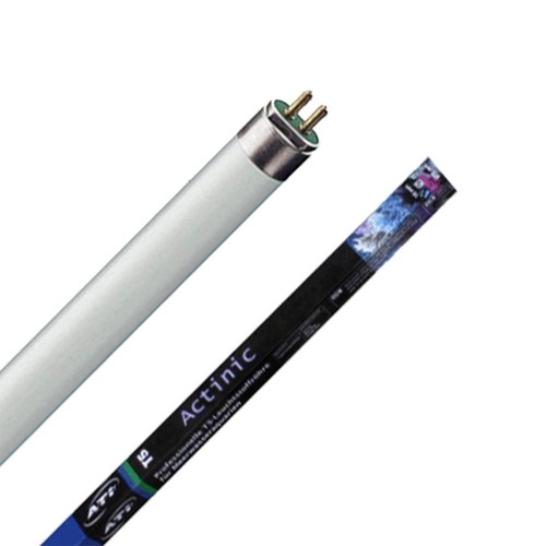 Ati actinic neon new - ati,