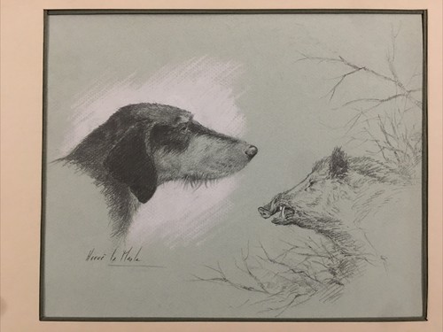Cane cinghiale magnifico - e, "
