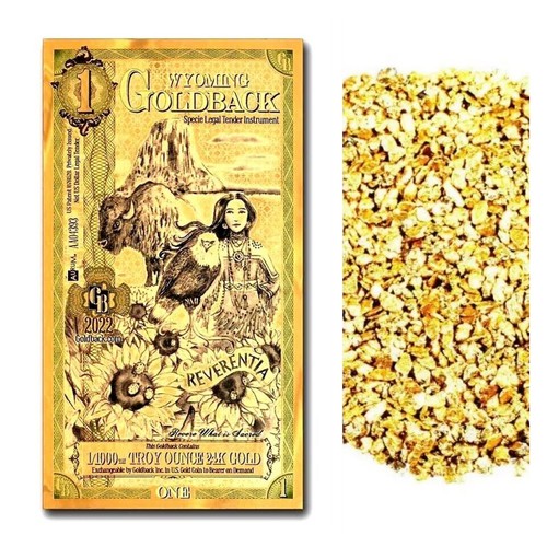 Banconota wyoming goldback - banconota,