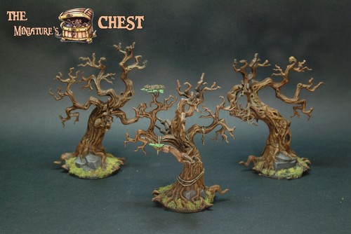 Alberi della foresta legno - alberi,