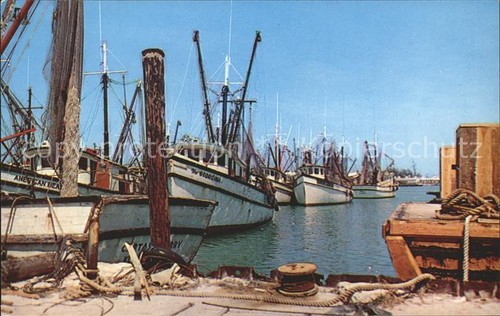Key west gamberetti barche - key,