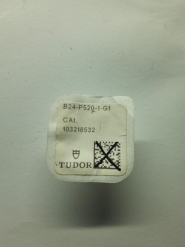 Vite pulsante tubo tudor - vite, +