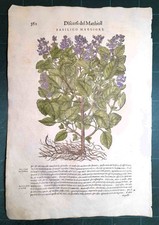 MATTIOLI MATTHIOLI Erbario a
