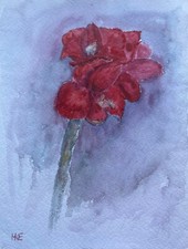 Acquerello Natura Morta