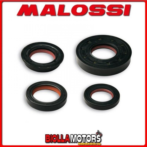 6619160 kit paraolio motore - 6619160,