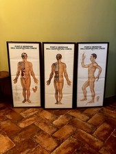 3 TAVOLE DIDATTICHE PRATICA