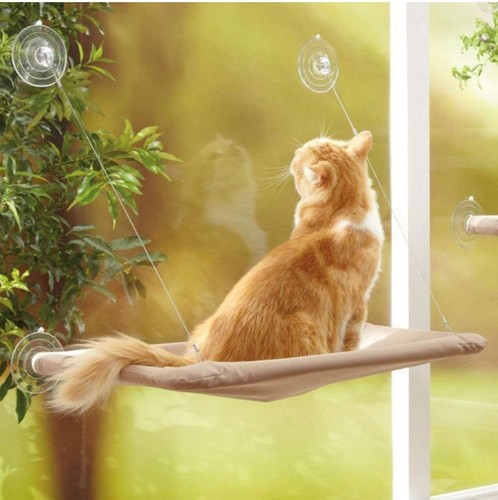 Amaca letto cuccia per gatti - amaca,