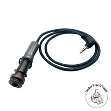 LR Baggs M1C2 gruppo jack