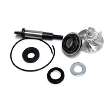 REVISIONE POMPA ACQUA HONDA SH