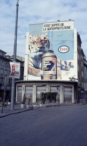 Foto vintage collezione - vintage, da