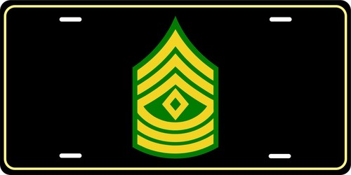 Army primo sergente e8 - sergente,