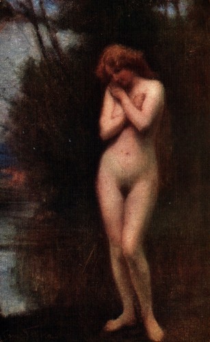 Nudo femminile artistico - nudo,