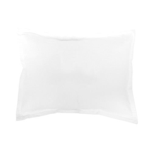 Finta standard cotone - finta,