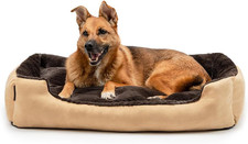 Letto per Cani Con Cuscino