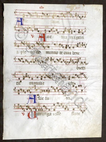 Pagina manoscritta originale