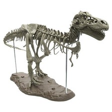 Animal Model Toys 4D Figura di