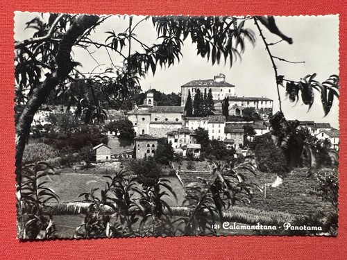 Cartolina calamandrana - cartolina, (