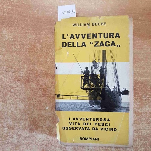 Avventura della zaca william - l'avventura,