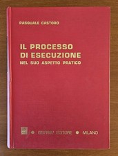 Il Processo Di Esecuzione Nel