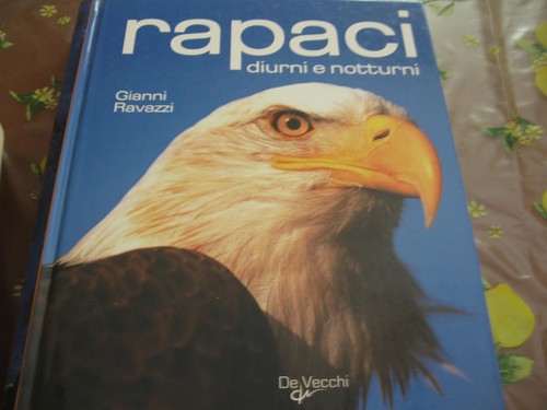 Rapaci diurni notturni - e,