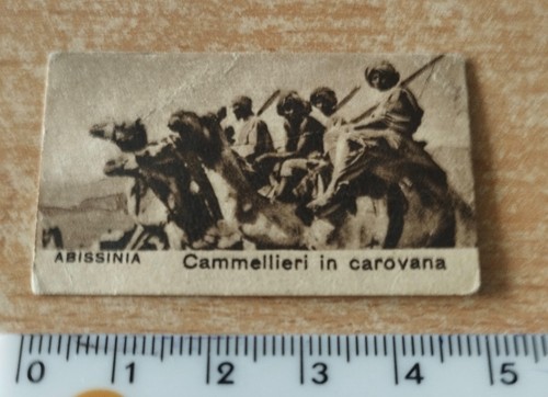 Figurina cartoncino - in,