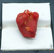 Ramo di corallo rosso: pietra