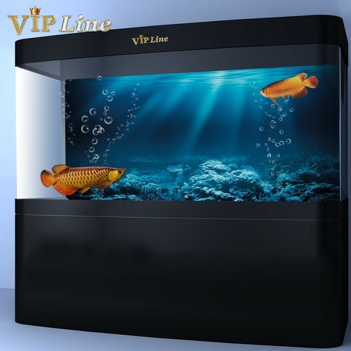 Poster sfondo acquario fondale