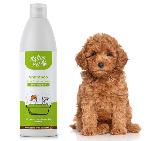 Shampoo eco friendly - friendly, cani