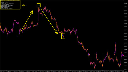 Forex licenza 2 mesi - licenza, di