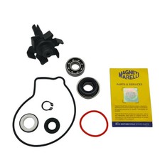 Kit revisione pompa acqua