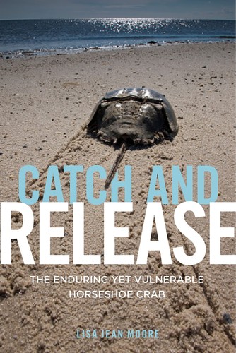 Catch and release the - release:,