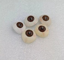 set di 5 protesi oculari artificiali in vetro per protesi marrone umano set di 5