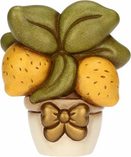 , Alberello Di Limoni in