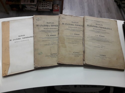 Trattato anatomia - trattato, di