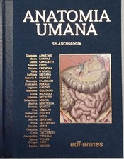 anatomia umana 2