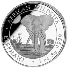 Moneta argento elefante fauna