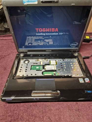 Portatile toshiba satellite - portatile,