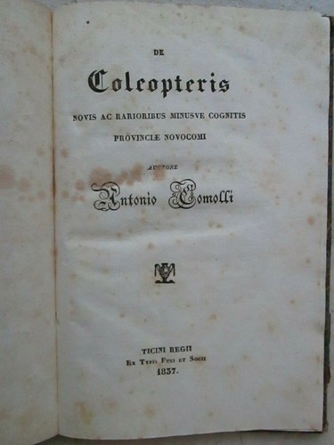 Comolli de coleopteris - comolli,