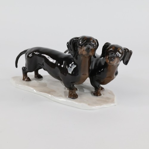 Rosenthal gruppo bassotto