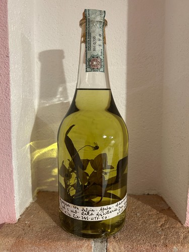 Grappa romano levi con - grappa, "con