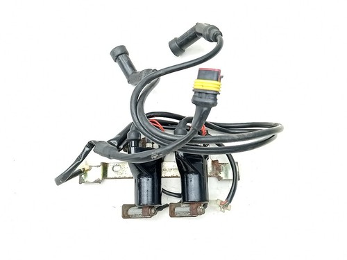 Coppia bobine accensione - coppia,