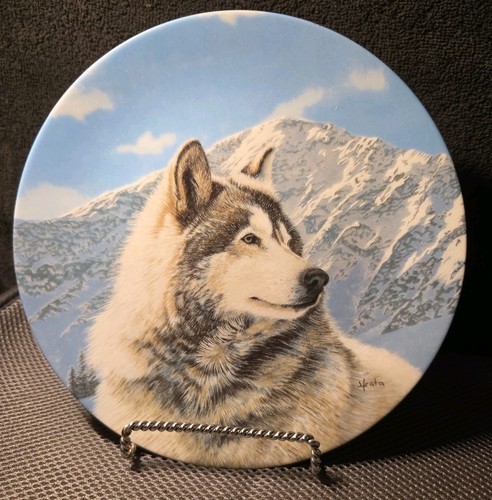 Orologio solitario wild - orologio,